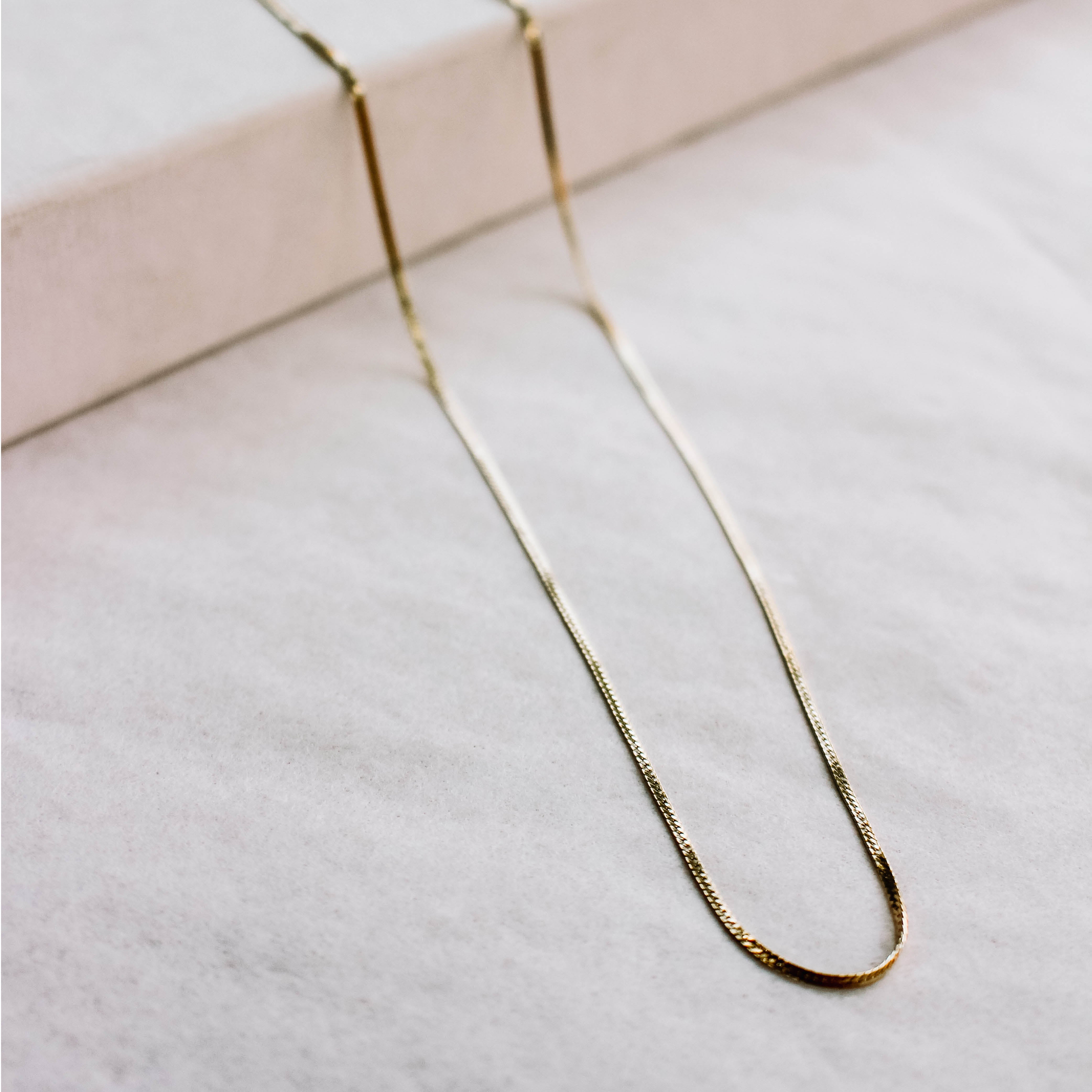 Fehu 2.5mm Herringbone Necklace | Catori Life