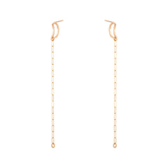 Link Dual Earrings