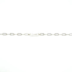 Link Dual Lariat Necklace